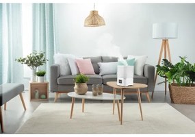 Rowenta - Umidificatore AQUA BOOST 2,5 l 115W/230V