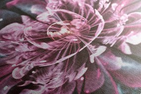 Quadro su tela – Magico fiore rosa