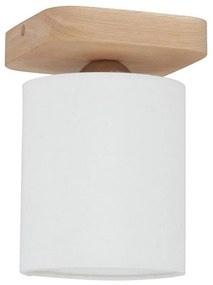 Spot-Light 8512174 - Plafoniera JENTA 1xE27/25W/230V