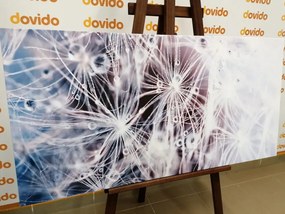 Stampa su tela – Macro dente di leone