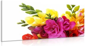 Quadro su tela – Bouquet di fresie