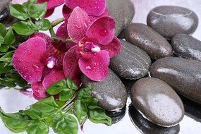Quadro su tela – Orchidea fiorita e pietre per il benessere