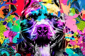 Stampa su tela – Illustrazione di cane colorata