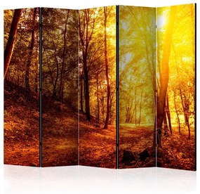 Paravento  Autumn Walk II [Room Dividers]  Colore ---, Dimensioni e Misure 225x172