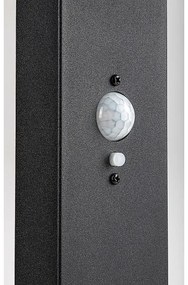 Rabalux 77079 - Lampada solare LED esterna LASSET LED/4,4W/3,7V IP54 antracite