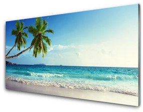 Quadro vetro acrilico Mare spiaggia Palma Paesaggio 100x50 cm