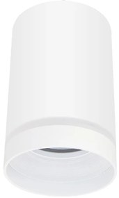 Luce Spot FABRI 1xGU10/10W/230V bianco