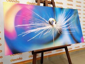 Quadro su tela – Goccia di rugiada su sfondo astratto