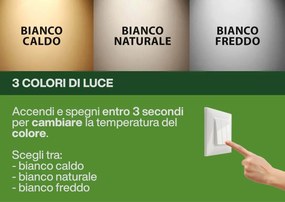 Plafoniera LED da Esterno 15W IP65 Ovale CCT - Bianco Variabile