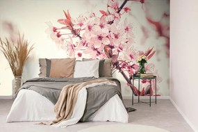 Carta da parati – Fiori di ciliegio rosa