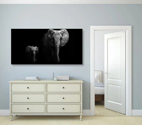 Quadro su tela – Piccolo elefante e elefantessa