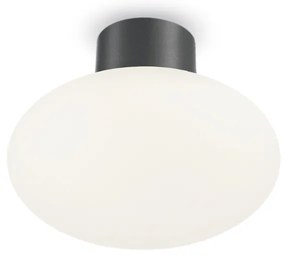 Plafoniera Moderna Clio Alluminio Antracite 1 Luce E27