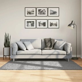 Tappeto Shaggy Pamplona A Pelo Lungo Moderno Grigio 120x170 Cm /