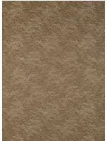 Zoffany Carta da parati Akaishi - Gold