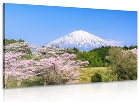 Stampa su tela – Vulcano Fuji