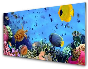 Quadro vetro acrilico Natura della barriera corallina 100x50 cm