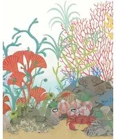 Cole & Son Carta da parati Archipelago - Multi