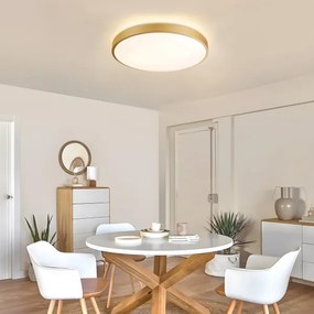 Brilagi - Lampada LED dimmerabile GLASS POOL DOUBLE LED/60W/230V 50 cm dorata + telecomando