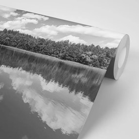 Fotomurale – Lago in bianco e nero in estate