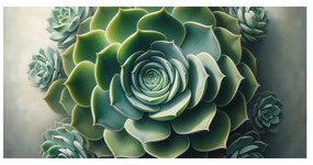 Quadro su tela – Bellezza della pianta grassa