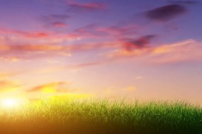 Carta da parati – Alba sul prato