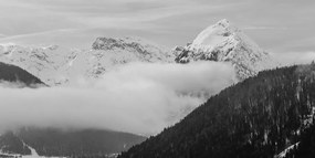 Stampa su tela – Paesaggio invernale in bianco e nero