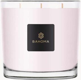 Candela XXL in scatola (peonia e cashmere)