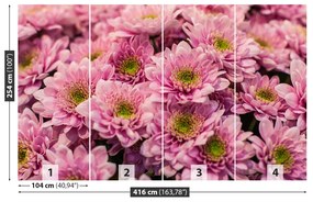 Carta da parati Crisantemi rosa 104x70 cm