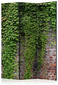 Paravento Mattoni ed edera (3 parti) - foglie verdi su muro