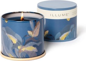 Candela profumata tempo di combustione 50 h Citrus Crush - ILLUME x Bloomingville