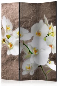 Paravento Perfezione orchidea - orchidea bianca su texture di pietra