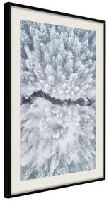 Poster  Winter Forest From a Bird's Eye View  Cornice Quadri Cornice nera con pass-partout, Larghezza x Altezza Home decor 20x30