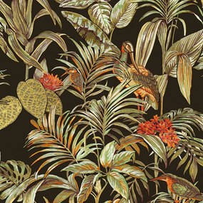 Carta Da Parati Bird-of-paradise Nera /