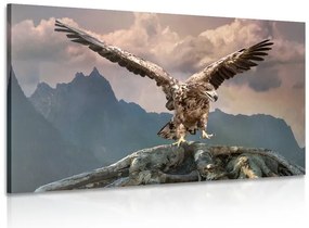 Stampa su tela – Aquila con ali spiegate sopra le montagne