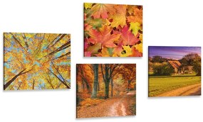 Set di quadri – Natura in colori autunnali