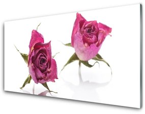 Quadro vetro acrilico Rose, fiori, piante 100x50 cm