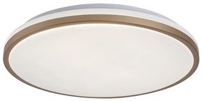 Rabalux 75058 - Plafoniera da bagno SLAVA LED/18W/230V IP44 Ø 34 cm