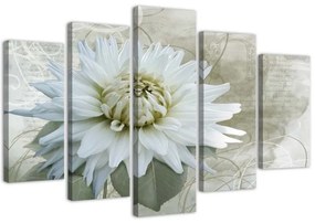 Quadri Quadro 5 pezzi Stampa su tela Fiore Bianco Beige Vintage
