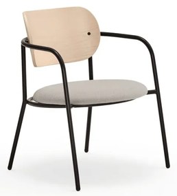 Sedia da pranzo grigio chiaro in frassino Eclipse - Teulat