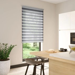 Tenda a rullo giorno / notte INSPIRE Line grigio / argento 105x250 cm