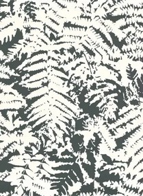 Little Greene Carta da parati Fern - Off Black