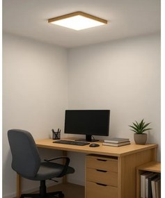 Plafoniera LED/24W/230V 3000/4000/6500K 30x30 cm beige