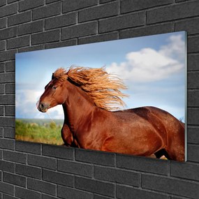 Quadro in vetro Animali da cavallo 100x50 cm