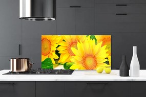 Pannello rivestimento parete cucina Girasole Fiore Natura 100x50 cm