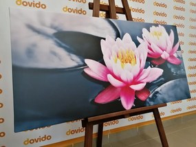 Quadro su tela – Fiore di loto nel lago