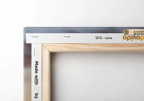 Stampa su tela – Rami al tramonto