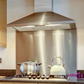 Nordlinger Paraschizzi 90x70 cm in Acciaio Inossidabile Argento