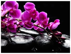 Fotomurale Momento di relax : un'orchidea e pietre zen