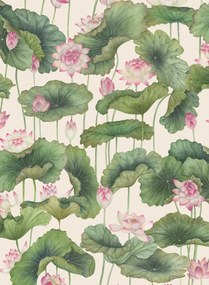 Cole & Son Carta da parati Lily Lotus - Original