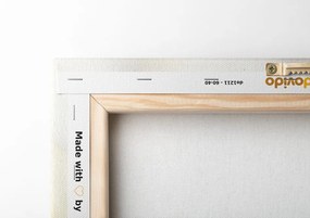 Quadro su tela – Angelo libero